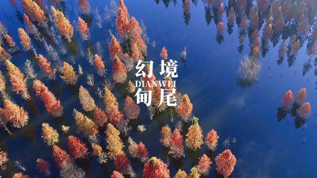 土鸡蛋和普通鸡蛋 到底哪个更有营养游戏画面