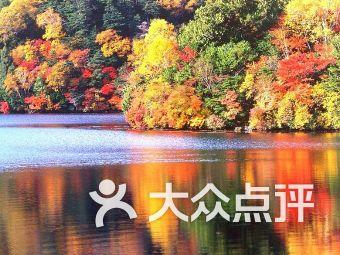 异地离婚程序怎么走？游戏画面