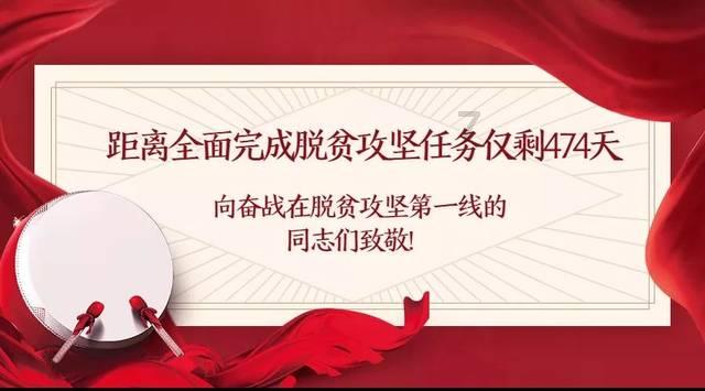 金刚鹦鹉逃生